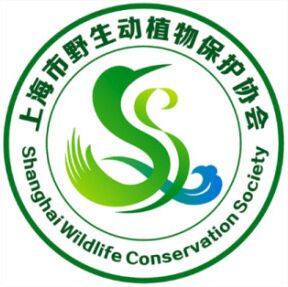 野生大熊猫调查
